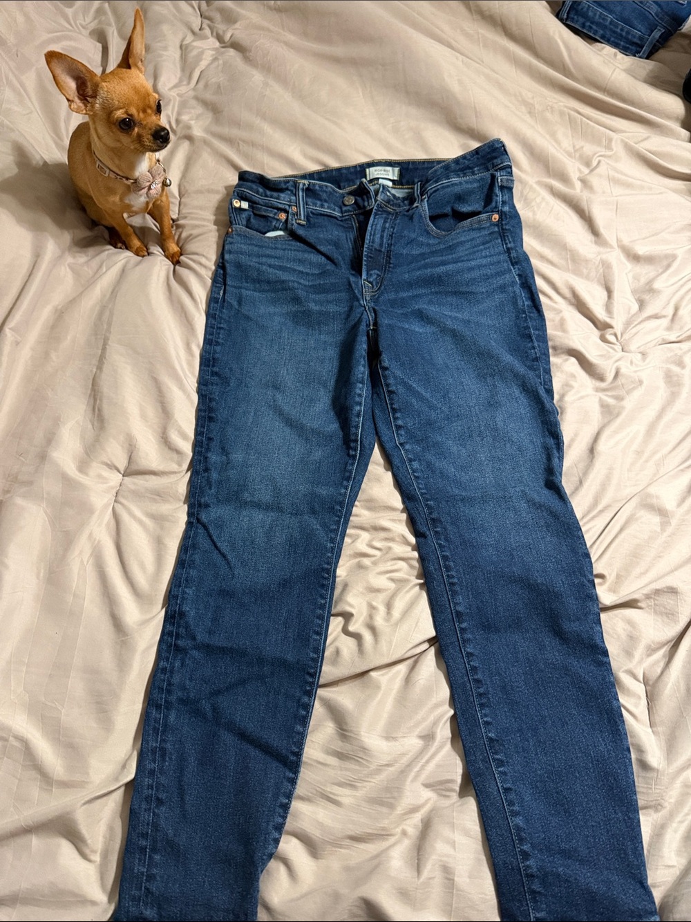 AE77 Women's High Wasted Jeggings